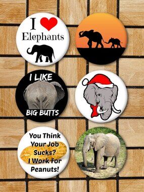 Elephant Fridge Magnets - Set Of 6 Metal Magnets Home Office Kitchen School